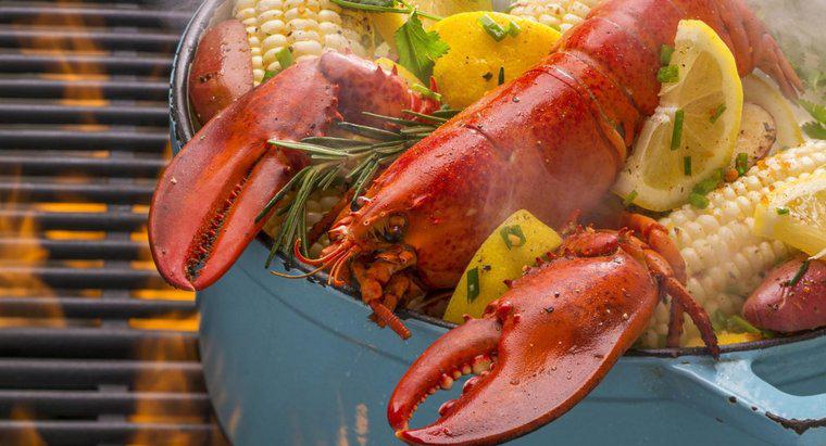 Quantos minutos você cozinha uma lagosta?