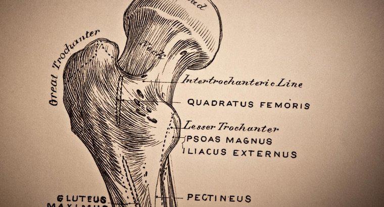 O que é osteopenia do pescoço femoral?