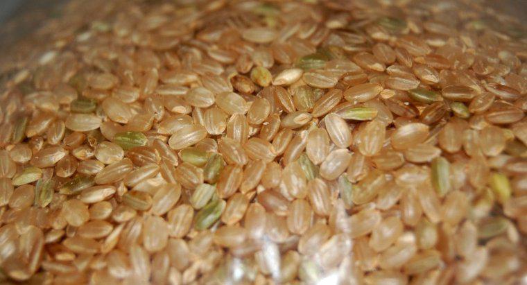 É possível cozinhar arroz integral em uma panela lenta?