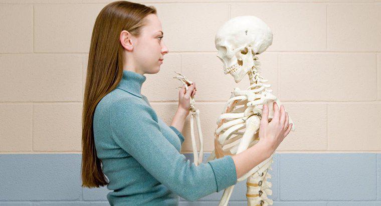 O que é uma pontuação de densidade óssea normal para uma mulher?