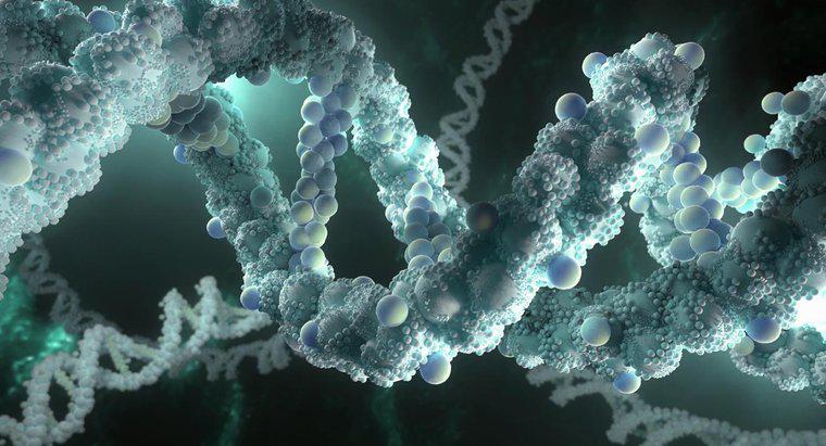 Por que o DNA deve ser capaz de fazer cópias de si mesmo?