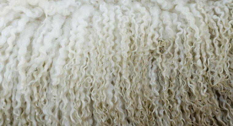 Qual é a diferença entre a lã virgem e a lã normal?