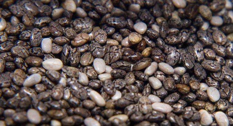Quais são os efeitos colaterais das sementes de chia?
