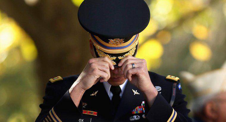 Por que é importante continuar a homenagear nossos veteranos?