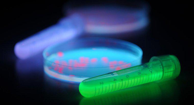 Como as lâmpadas ultravioleta inibem o crescimento bacteriano?