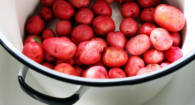 Por quanto tempo você deve ferver batatas vermelhas?