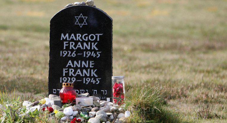 Quais foram as principais realizações de Anne Frank?