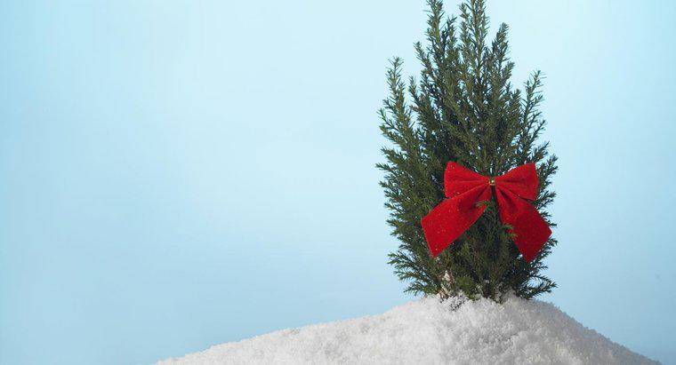 Como você pendura a fita da árvore de Natal?