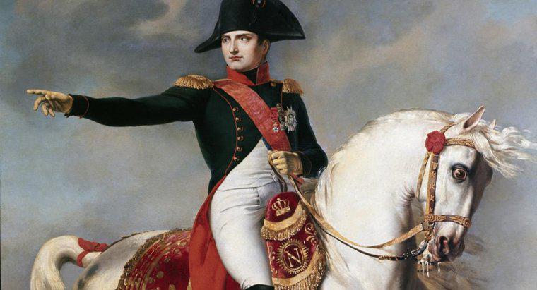 Qual objetivo da revolução Napoleão alcançou?