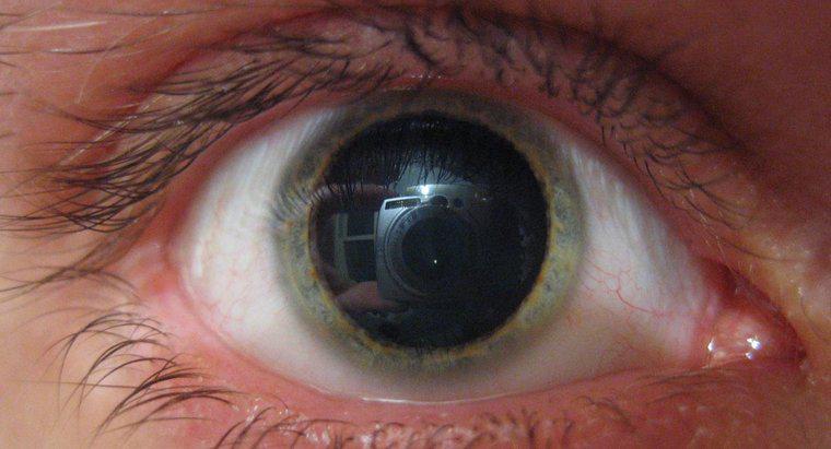O que pode causar pupilas dilatadas?