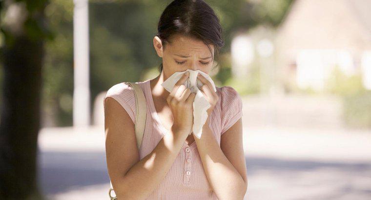 As alergias sazonais podem deixá-lo tonto?