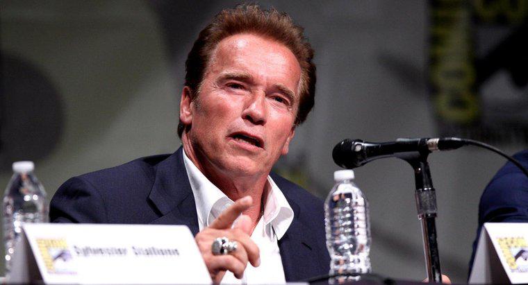 Quanto poderia Arnold Schwarzenegger Bench Press?