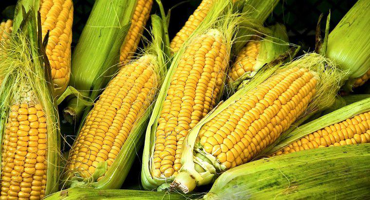 O milho é amido ou vegetal?