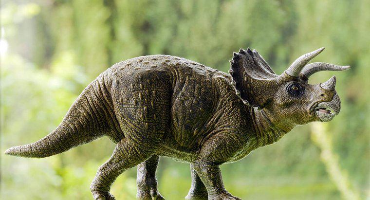 O que o triceratops come?