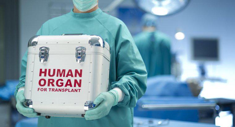 Quando foi inventado o transplante cardíaco?
