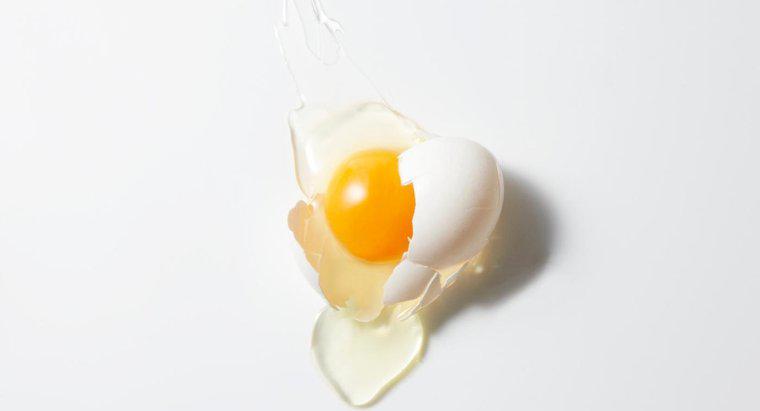 Os ovos podem ser usados ​​como tratamento para o cabelo?