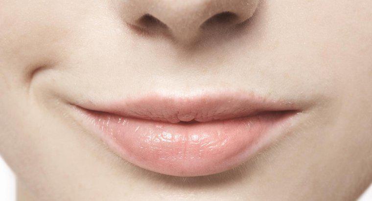 O que causa feridas na boca?