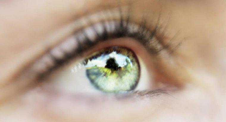O que causa moscas volantes nos olhos?