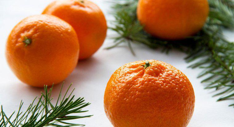 Qual é o significado de uma laranja em uma meia de Natal?
