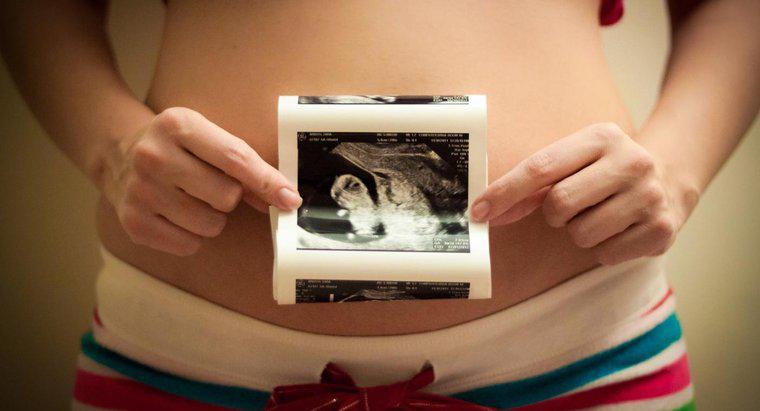Qual é o tamanho do meu útero em 13 semanas?