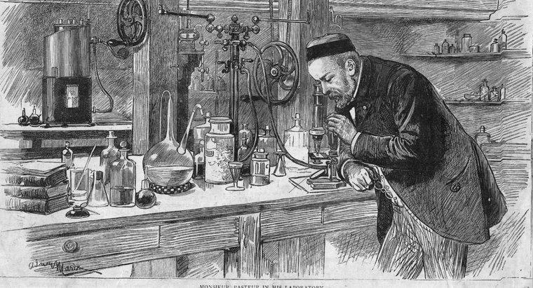 O que Louis Pasteur descobriu?