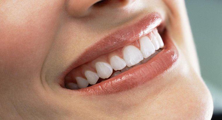 Os adultos podem desenvolver novos dentes?