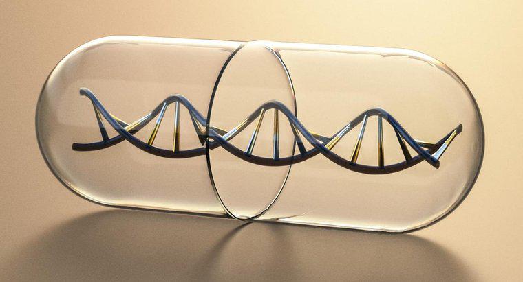 O que constitui os lados da escada de uma molécula de DNA?