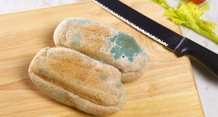 O que é molde de pão?